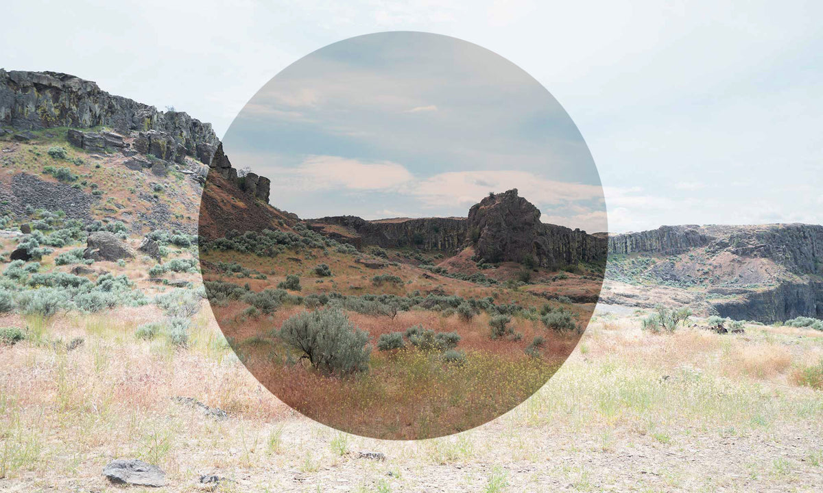 Custom Brown  Prescription Lens