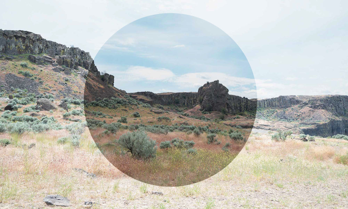 Custom Grey  Prescription Lens