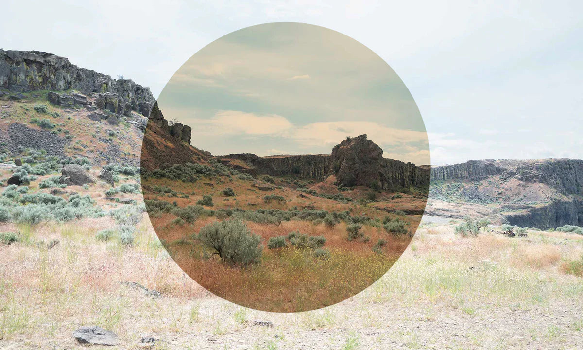 Custom Bronze Mirror Prescription Lens