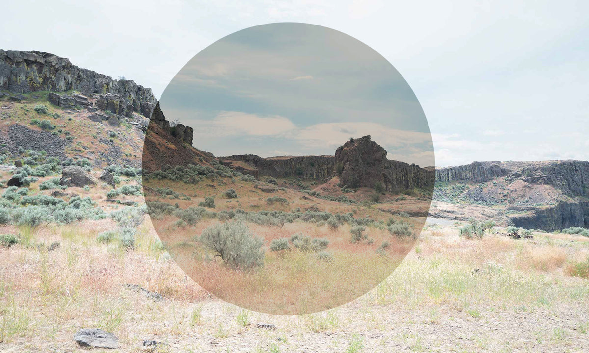 Custom Brown Gradient  Prescription Lens