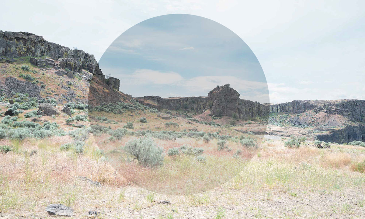 Custom Grey Gradient  Prescription Lens